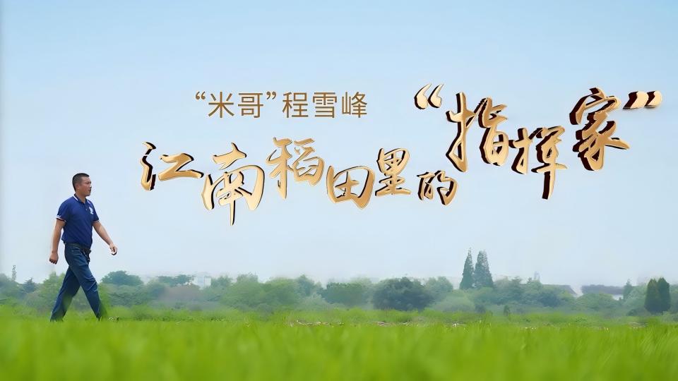 光芒·走訪家鄉(xiāng)的主角|“米哥”程雪峰：江南稻田里的“指揮家”