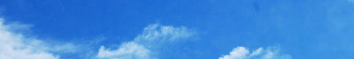 社會(huì)誠信誰來護(hù)？