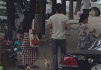 組圖：天天秀恩愛(ài)！范冰冰李晨甜蜜遛狗引圍觀
