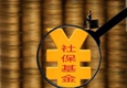半年報(bào)露出社?；鸲径葎?dòng)向