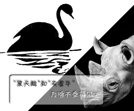 "黑天鵝"和"灰犀牛"為啥不受待見？