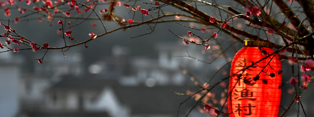 春來花開，綻放正當(dāng)時(shí)