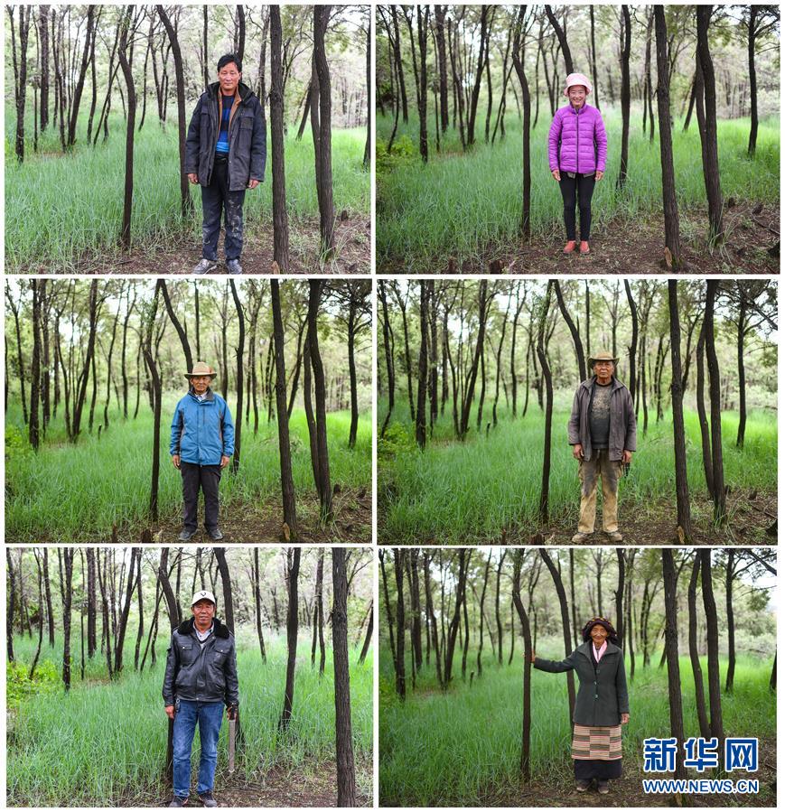 （十九大·讀報告 話民生）（9）加快生態(tài)文明體制改革，建設美麗中國