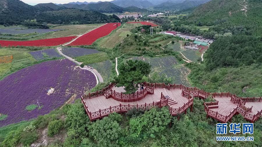 （十九大·讀報告 話民生）（10）加快生態(tài)文明體制改革，建設(shè)美麗中國