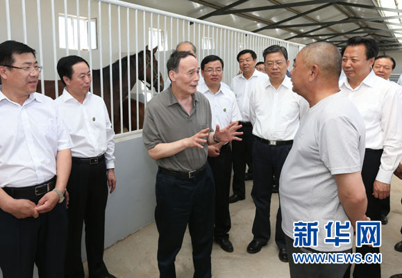 這是7月3日，王岐山在錫林浩特市義合良種馬繁育基地考察。新華社記者 龐興雷 攝