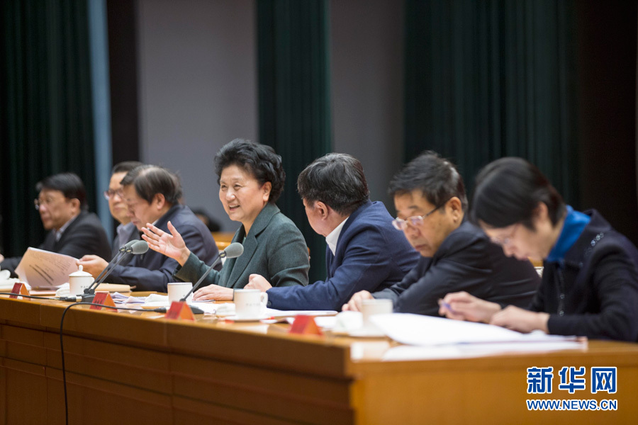 1月16日，中共中央政治局委員、國務院副總理劉延東在北京出席“加強和改進新形勢下高校思想政治工作專題研討班”開班式。 新華社記者崔新鈺 攝