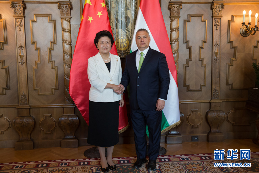  6月21日，國務(wù)院副總理劉延?xùn)|（左）在匈牙利布達佩斯國會大廈會見匈牙利總理歐爾班。 新華社發(fā)（弗爾季·奧蒂洛攝）