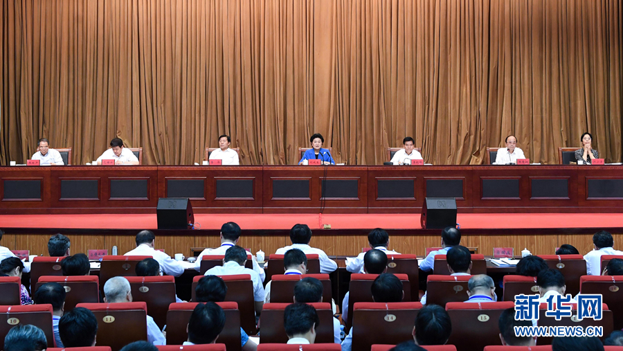 6月25日，全國民族團(tuán)結(jié)進(jìn)步創(chuàng)建經(jīng)驗交流現(xiàn)場會在內(nèi)蒙古興安盟召開，中共中央政治局委員、國務(wù)院副總理劉延?xùn)|出席會議并講話。 新華社記者 陳曄華 攝