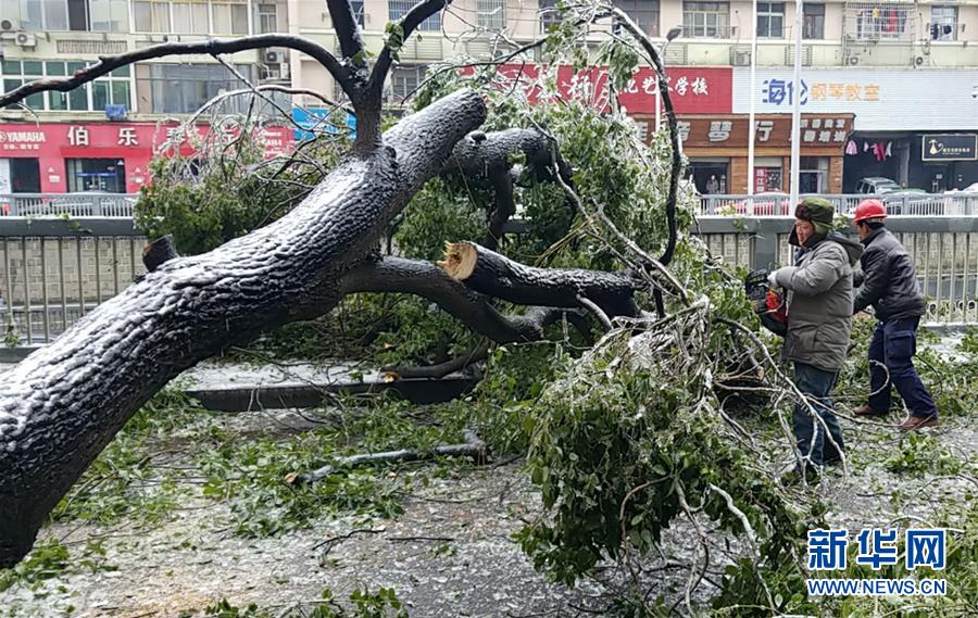 （新華全媒頭條）（7）雨雪冰凍中，他們奮力前行——基層黨員干群抗擊冰雪災(zāi)害紀(jì)實(shí)