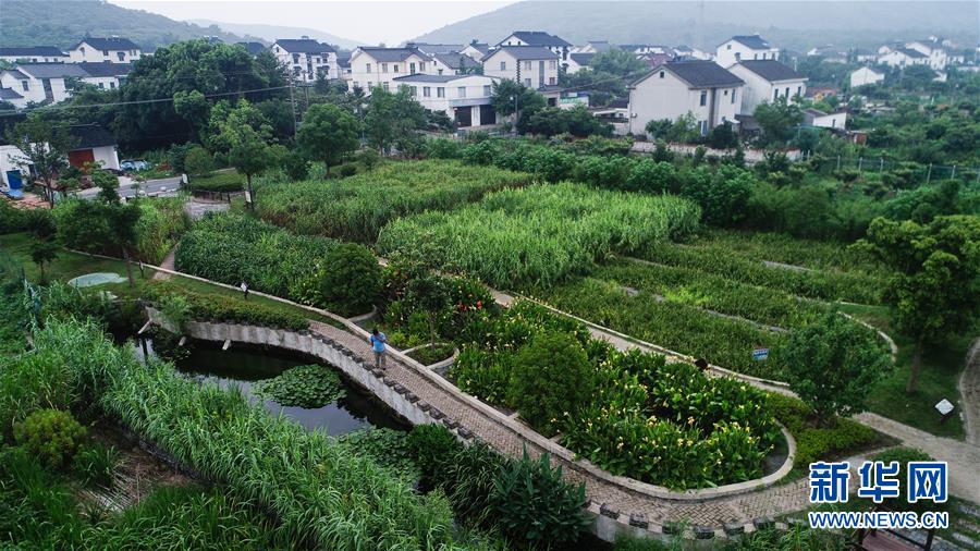（在習(xí)近平新時(shí)代中國特色社會主義思想指引下——新時(shí)代新作為新篇章·圖文互動(dòng)）（1）稀奇！治污濕地成了休閑公園——江蘇蘇州全域推進(jìn)農(nóng)村生活污水治理