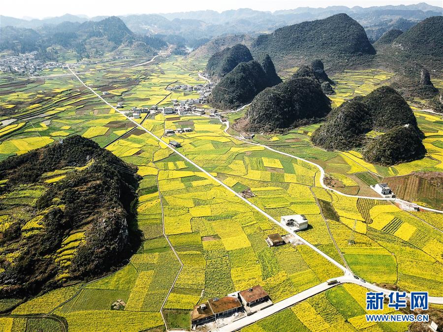 （新華全媒頭條·圖文互動(dòng)）（10）從脆弱生態(tài)到滿(mǎn)眼皆“綠”——國(guó)家生態(tài)文明試驗(yàn)區(qū)貴州的“綠色之路”