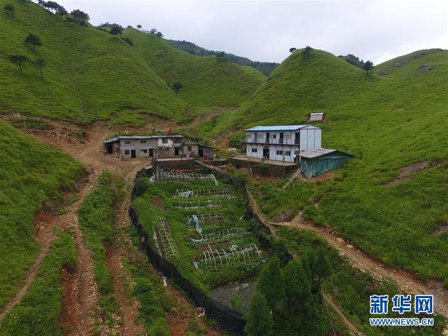 （新華全媒頭條·圖文互動(dòng)）（3）一個(gè)人，一座山——劉真茂的生命守望