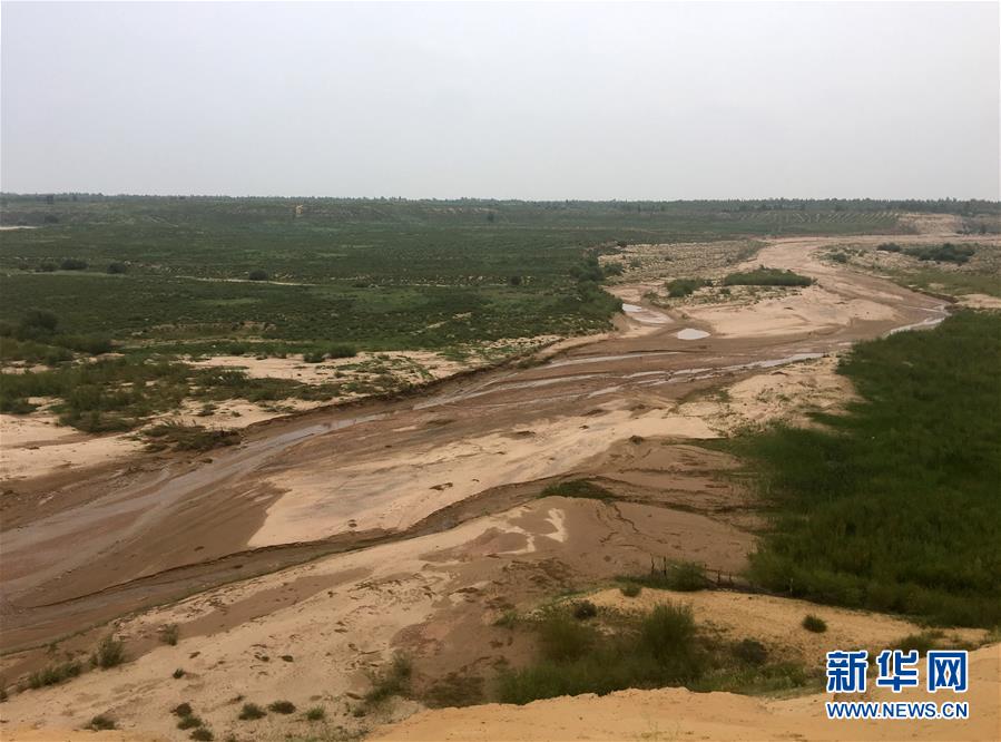 (新華全媒頭條·在習(xí)近平新時代中國特色社會主義思想指引下——新時代新作為新篇章·圖文互動)(5)綠富同興畫卷在沙海中鋪展——庫布其沙漠生態(tài)治理紀(jì)實