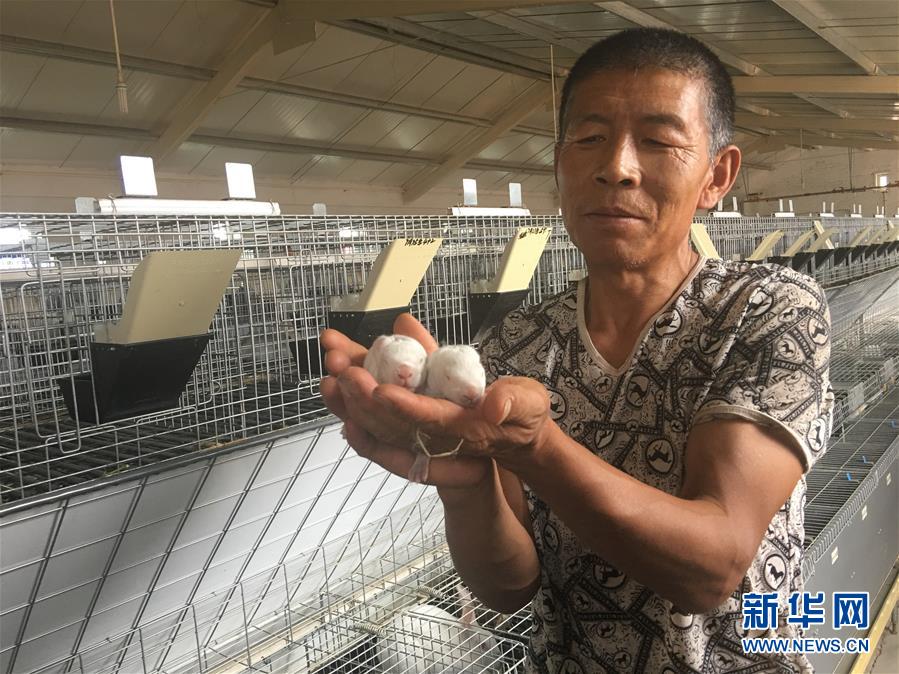 (新華全媒頭條·在習(xí)近平新時代中國特色社會主義思想指引下——新時代新作為新篇章·圖文互動)(10)綠富同興畫卷在沙海中鋪展——庫布其沙漠生態(tài)治理紀(jì)實