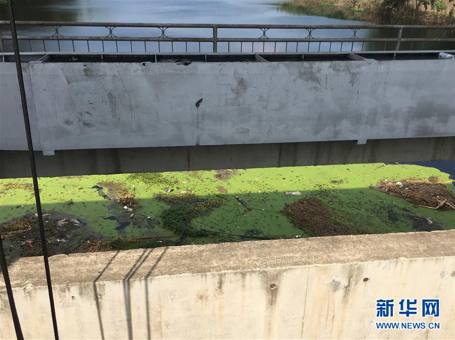 （新華視點(diǎn)·圖文互動(dòng)）（2）上游洪水來(lái)襲下游魚(yú)蟹死亡，泄洪為何變泄污？
