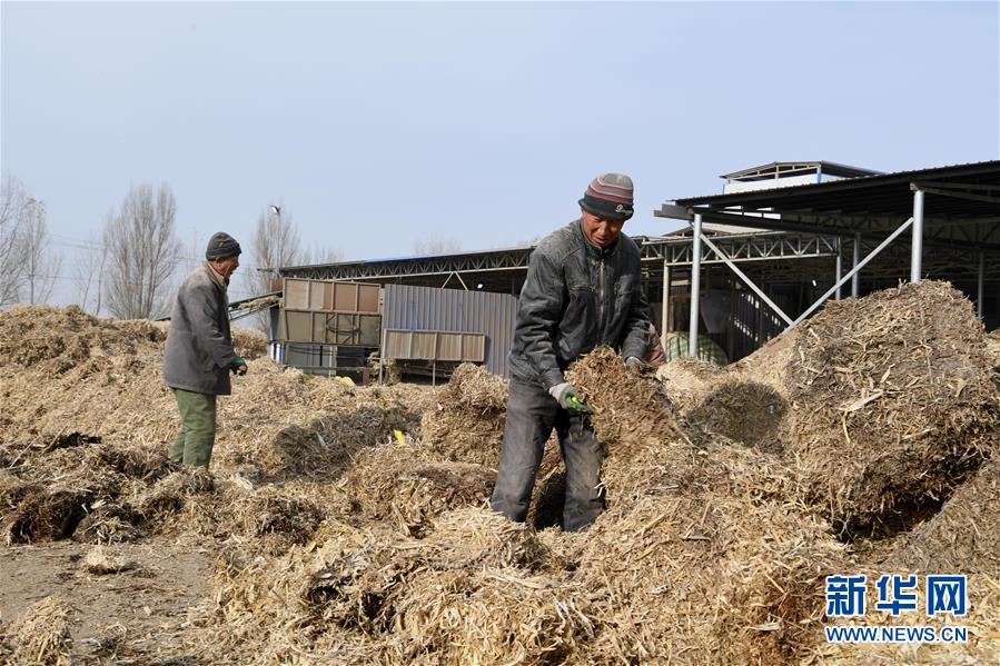 （在習近平新時代中國特色社會主義思想指引下——新時代新氣象新作為·鄉(xiāng)村振興戰(zhàn)略·圖文互動）（2）“與其放火，不如打包”——山西渾源秸稈綜合再利用見聞