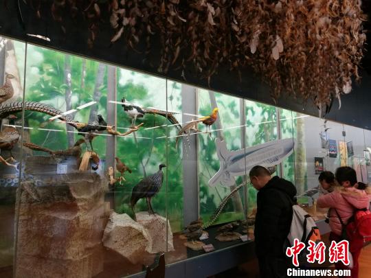 圖為展覽現(xiàn)場。　胡遠航 攝