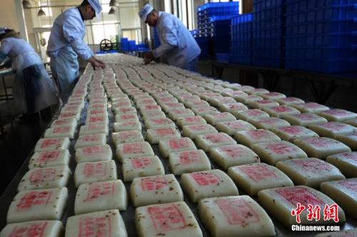 資料圖：師傅們在把制作好的桂花糖年糕擺放整齊。王思哲 攝