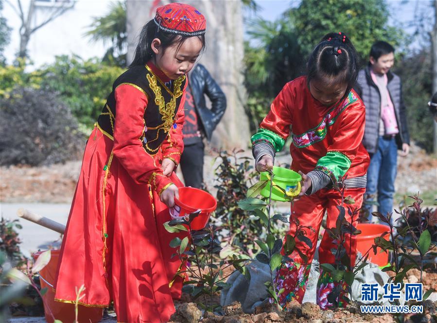 (社會(huì))(1)多民族兒童共迎植樹(shù)節(jié)