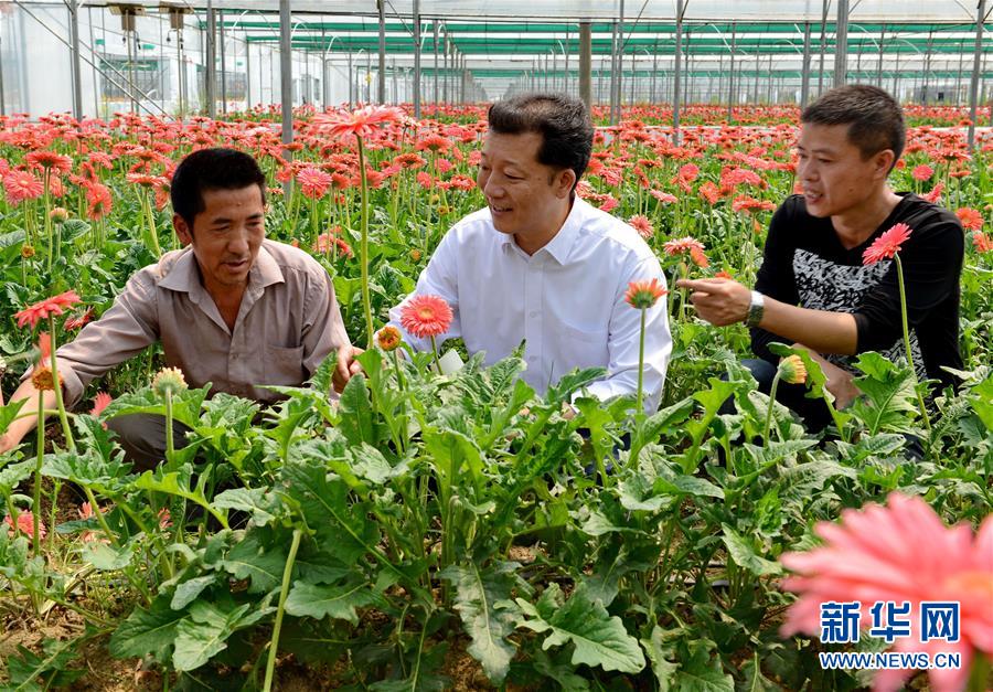 （新華全媒頭條·愛國情 奮斗者·圖文互動(dòng)）（8）致敬，為祖國獻(xiàn)身的英雄！