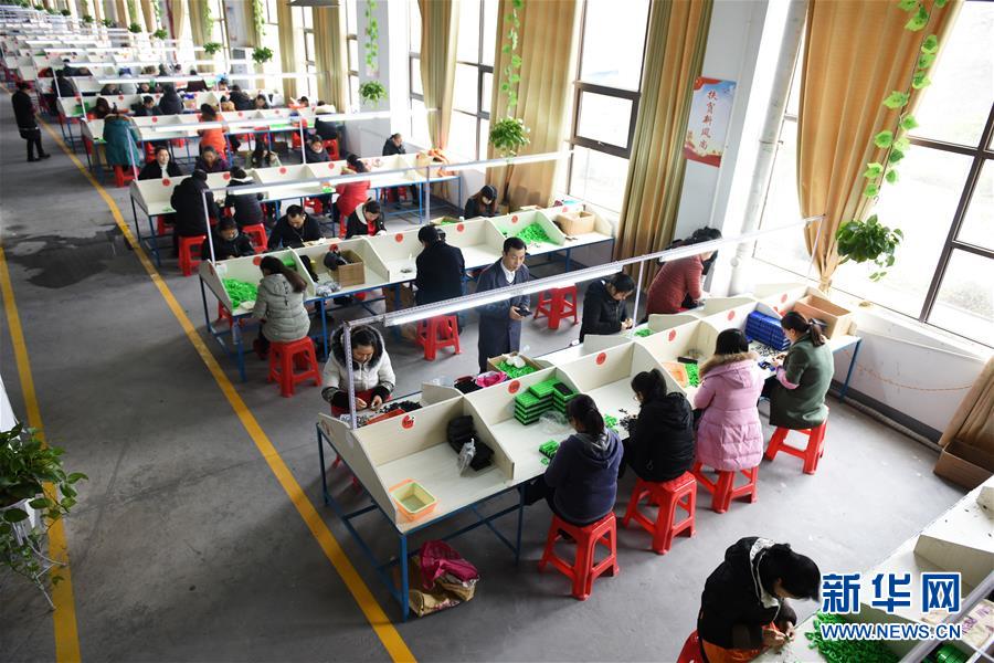 （在習(xí)近平新時(shí)代中國(guó)特色社會(huì)主義思想指引下——新時(shí)代新作為新篇章·圖文互動(dòng)）（5）“搬遷到哪里，服務(wù)就延伸到哪里”——貴州推進(jìn)易地扶貧搬遷“后半篇文章” 