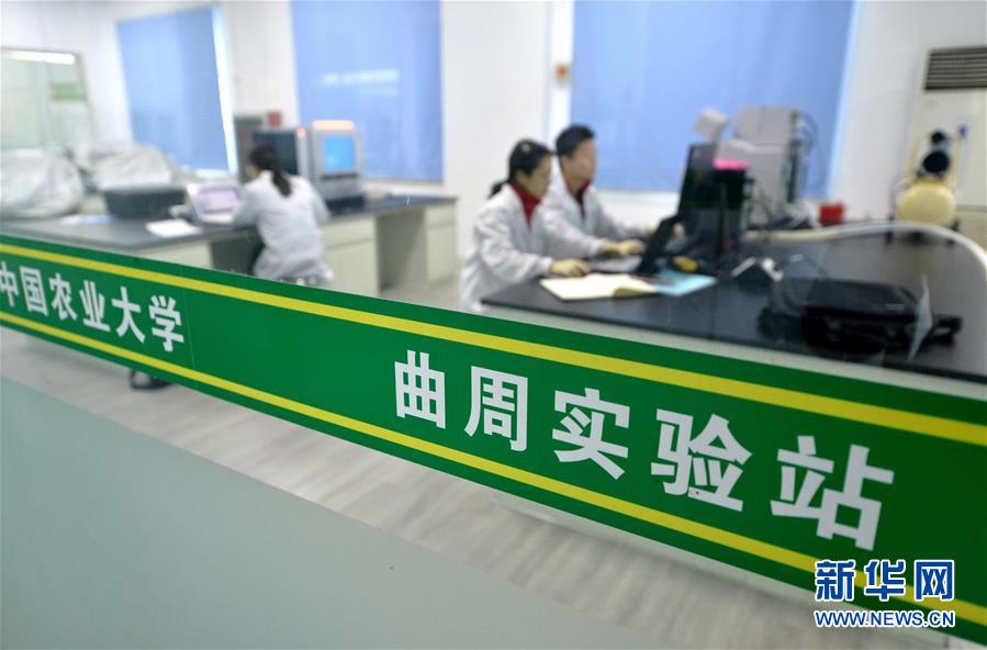 （愛國情 奮斗者·圖文互動）（3） “解民生之多艱，育天下之英才”——中國農(nóng)大師生扎根田野書寫奉獻(xiàn)之歌