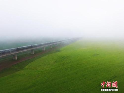 資料圖：動車組穿越雨霧中的油菜花海宛若穿越時空。 楊艷敏 攝