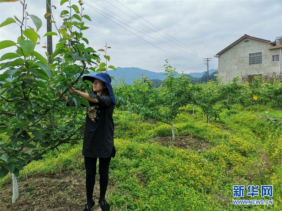 （壯麗70年·奮斗新時(shí)代·圖文互動）（1）縣域經(jīng)濟(jì)強(qiáng)縣的“扶貧經(jīng)”——來自湖南瀏陽市的脫貧攻堅(jiān)調(diào)查