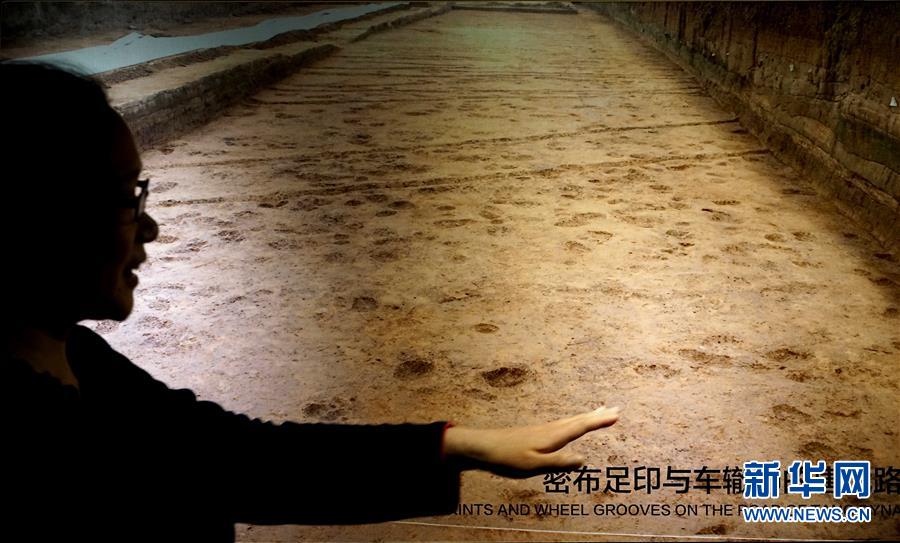 （新華全媒頭條·圖文互動(dòng)）（6）“若問(wèn)古今興廢事，請(qǐng)君只看洛陽(yáng)城”——千年古都“烹制”博物館盛宴