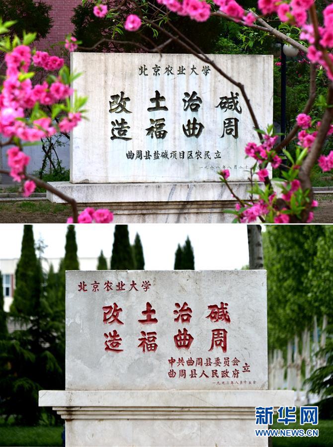 （新華全媒頭條·愛(ài)國(guó)情 奮斗者·圖文互動(dòng)）（2）把論文寫在祖國(guó)的大地上——中國(guó)農(nóng)業(yè)大學(xué)46年扎根河北曲周服務(wù)鄉(xiāng)村振興紀(jì)實(shí)