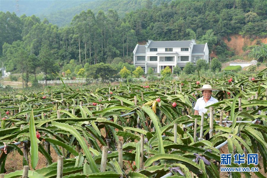 （在習(xí)近平新時(shí)代中國(guó)特色社會(huì)主義思想指引下——新時(shí)代新作為新篇章·總書記關(guān)心的百姓身邊事·圖文互動(dòng)）（6）大污染變身“大寶藏”：治理畜禽糞污，他們這樣干！