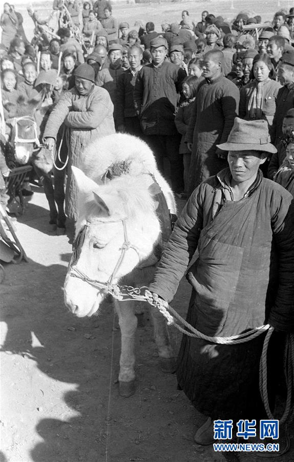 （壯麗70年·奮斗新時(shí)代——新中國崢嶸歲月·圖文互動）（3）廢除封建土地制度