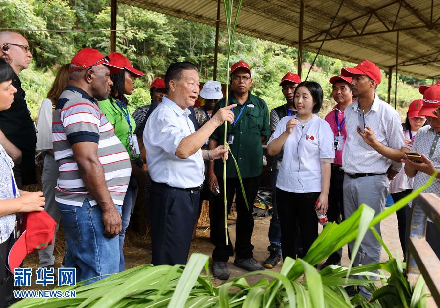 （不忘初心、牢記使命·圖文互動(dòng)）（5）拳拳寸草心 濃濃報(bào)國(guó)情——記“菌草之父”林占熺