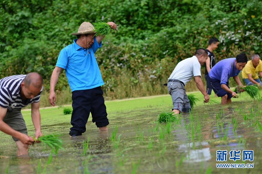 （新華全媒頭條·圖文互動(dòng)）（8）干部去哪兒了？——貴州干部大規(guī)模下沉脫貧攻堅(jiān)一線紀(jì)實(shí)