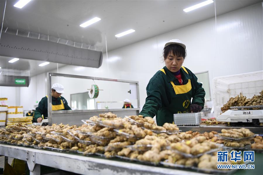 （在習(xí)近平新時代中國特色社會主義思想指引下——新時代新作為新篇章·總書記關(guān)切高質(zhì)量發(fā)展·圖文互動）（3）穩(wěn)住“一頭豬”、供好“一袋米”、配好“一籃菜