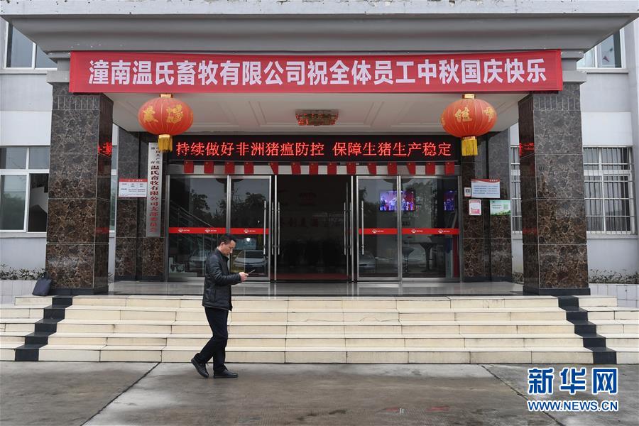 （在習(xí)近平新時代中國特色社會主義思想指引下——新時代新作為新篇章·總書記關(guān)切高質(zhì)量發(fā)展·圖文互動）（1）穩(wěn)住“一頭豬”、供好“一袋米”、配好“一籃菜
