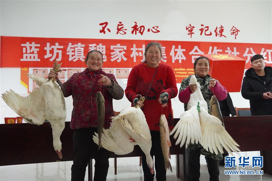 （新春走基層·圖文互動(dòng)）（4）“空殼村”分紅啦！