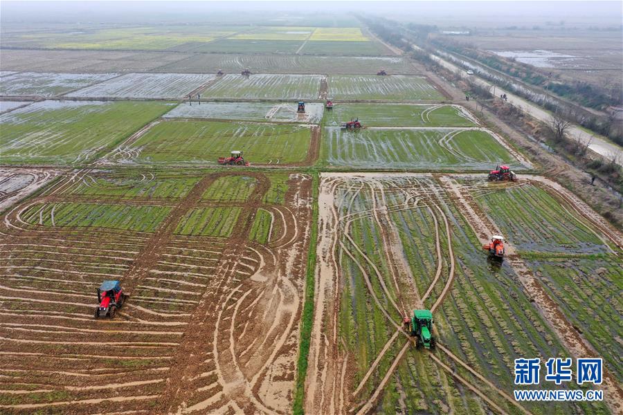 （抓好春耕備耕 穩(wěn)住農(nóng)業(yè)生產(chǎn)·圖文互動(dòng)）（2）智能農(nóng)機(jī)、“訂單”服務(wù)、“云端”種菜——來(lái)自江西的春耕“新事”