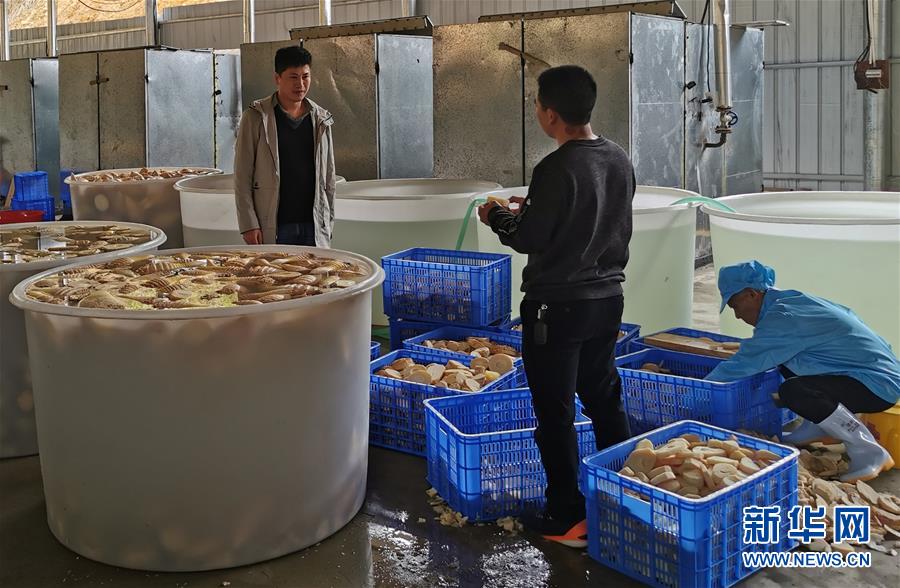 （決戰(zhàn)決勝脫貧攻堅·圖文互動）掛牌督戰(zhàn)，一個都不能少——江西確保剩余9.6萬貧困人口全部脫貧