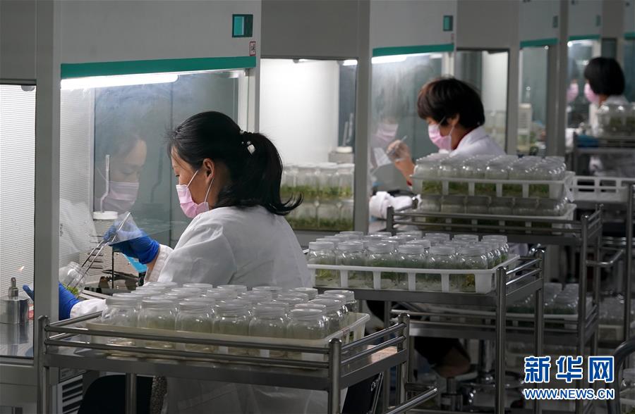 （來自一線的調(diào)查報(bào)告·圖文互動）（6）搶出一個(gè)身位謀發(fā)展——河南許昌經(jīng)濟(jì)復(fù)蘇見聞