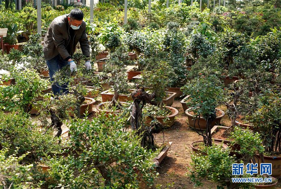 （來自一線的調(diào)查報(bào)告·圖文互動）（7）搶出一個(gè)身位謀發(fā)展——河南許昌經(jīng)濟(jì)復(fù)蘇見聞
