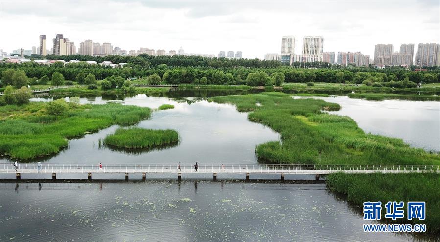 （走向我們的小康生活·圖文互動）（1）水清、地綠、空氣新——最北省份黑龍江繪就生態(tài)治理新畫卷