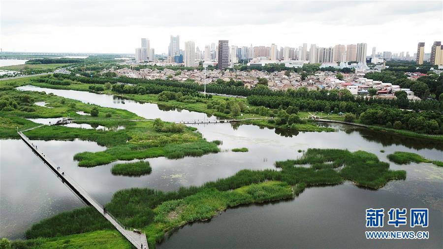 （走向我們的小康生活·圖文互動）（2）水清、地綠、空氣新——最北省份黑龍江繪就生態(tài)治理新畫卷