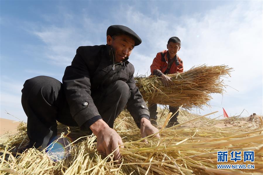 （在習(xí)近平新時(shí)代中國(guó)特色社會(huì)主義思想指引下——新時(shí)代新作為新篇章·習(xí)近平總書(shū)記關(guān)切事·圖文互動(dòng)）（5）綠色映底蘊(yùn)，山水見(jiàn)初心——生態(tài)優(yōu)先、綠色發(fā)展持續(xù)造福群眾美好生活