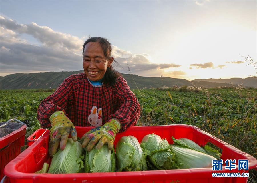 （新華全媒頭條·決戰(zhàn)決勝脫貧攻堅·督戰(zhàn)未摘帽貧困縣·圖文互動）（1）不獲全勝，決不收兵——全國52個掛牌督戰(zhàn)貧困縣脫貧攻堅紀(jì)實
