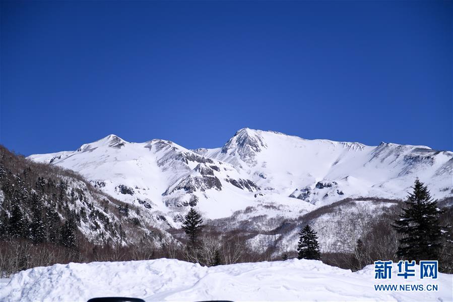 （圖文互動(dòng)）（6）長(zhǎng)白山60年書(shū)寫“生態(tài)答卷”