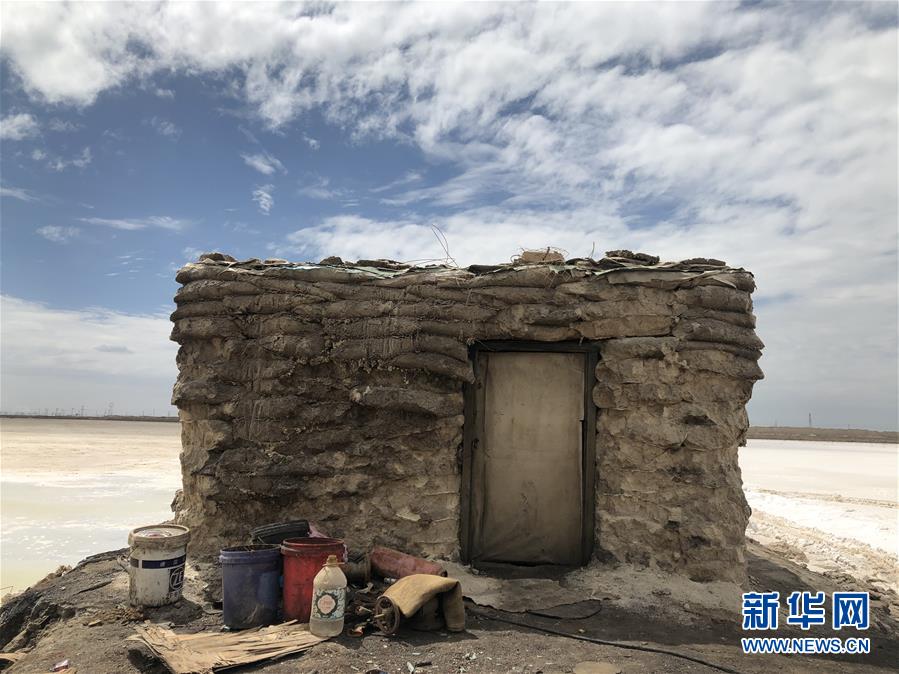 （走向我們的小康生活·決戰(zhàn)決勝脫貧攻堅(jiān)·圖文互動）（3）盆地里的生長