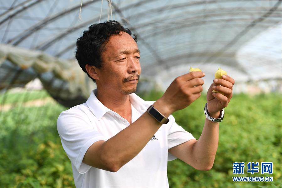 （新華全媒頭條·走向我們的小康生活·圖文互動(dòng)）（7）黑土地上是我家——在吉林，一瞥中國(guó)東北鄉(xiāng)村美麗未來(lái)