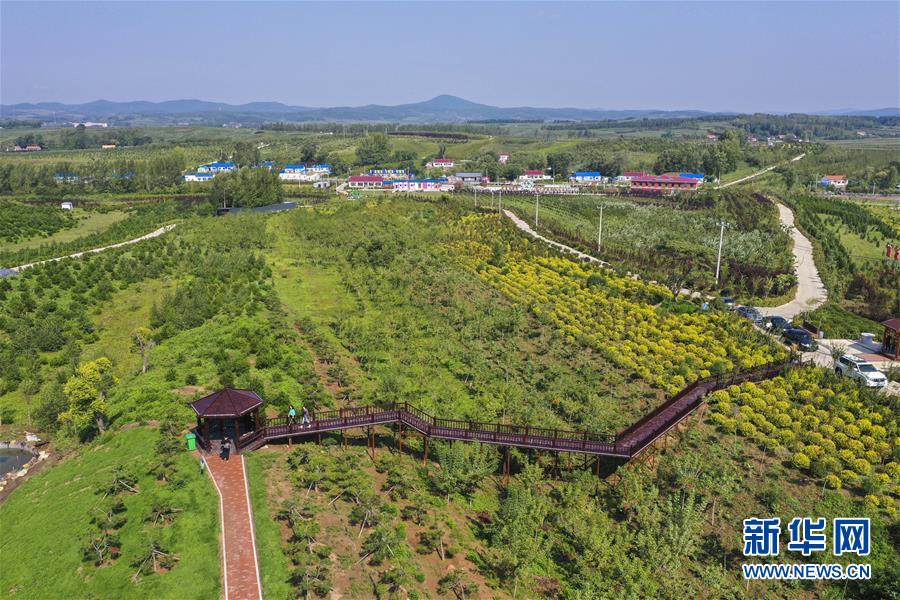 （新華全媒頭條·走向我們的小康生活·圖文互動(dòng)）（16）黑土地上是我家——在吉林，一瞥中國(guó)東北鄉(xiāng)村美麗未來(lái)