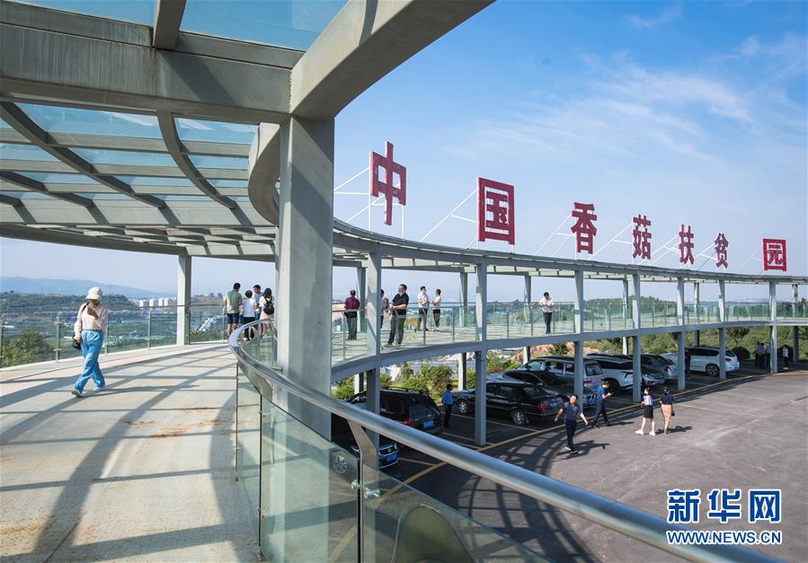 （新華全媒頭條·走向我們的小康生活·圖文互動(dòng)）（2）特殊之年，荊楚大地書(shū)寫(xiě)不平凡的答卷